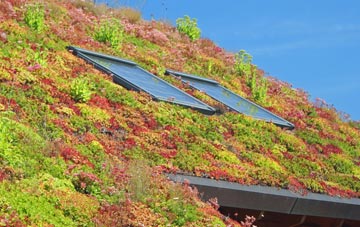Northdown living roof systems